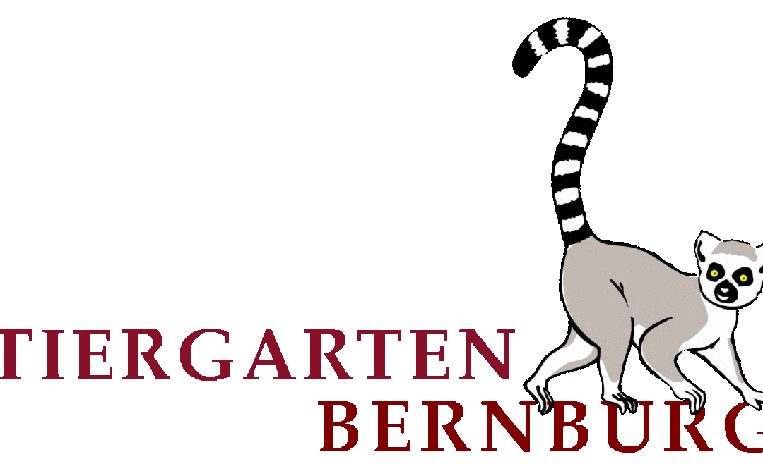Impressionen aus der Bernburger Freizeit GmbH – virtuell gegen Langeweile und Tipp`s für die Zeit „danach“
