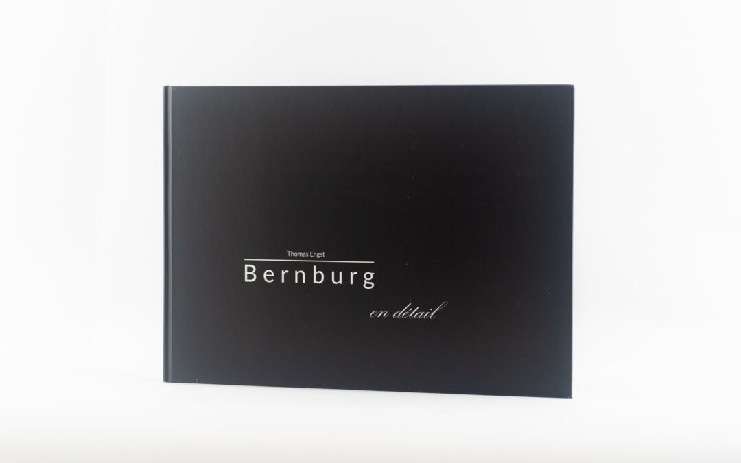 Bernburgen detail